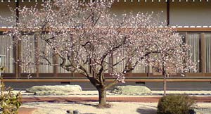 b0007182_950659.jpg