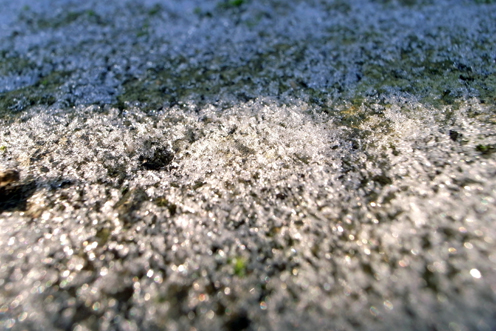 b0121884_8244713.jpg