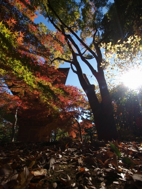 d0016584_0322964.jpg