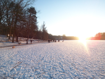 c0180686_2105355.jpg