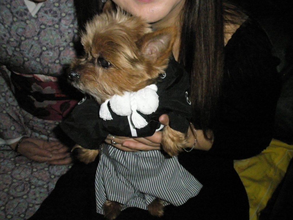 f0024887_8233442.jpg