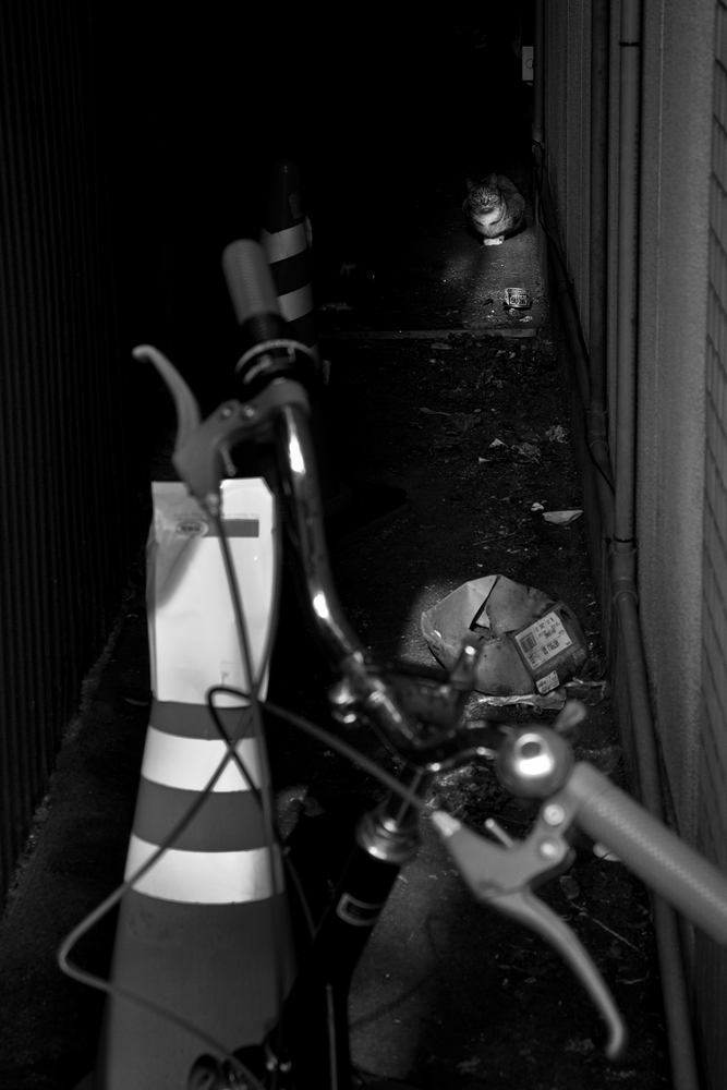 d0142891_9491294.jpg