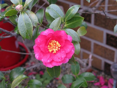 f0181394_23402432.jpg