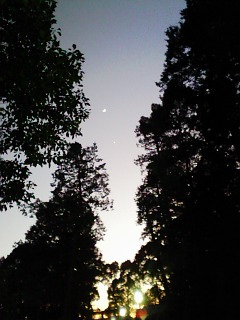 b0007895_18484819.jpg
