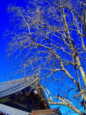 c0125702_103993.jpg