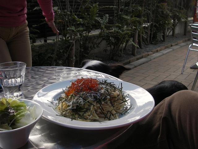 f0034602_2136256.jpg