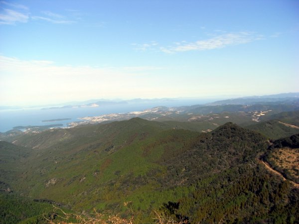 f0187402_22929.jpg