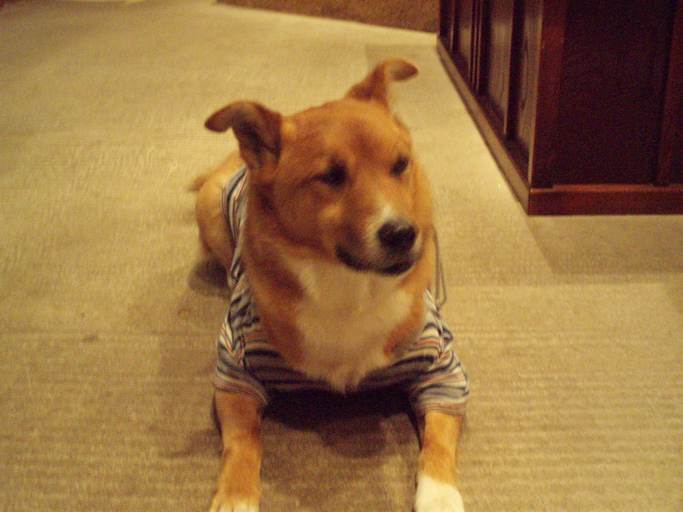 c0098304_22123416.jpg