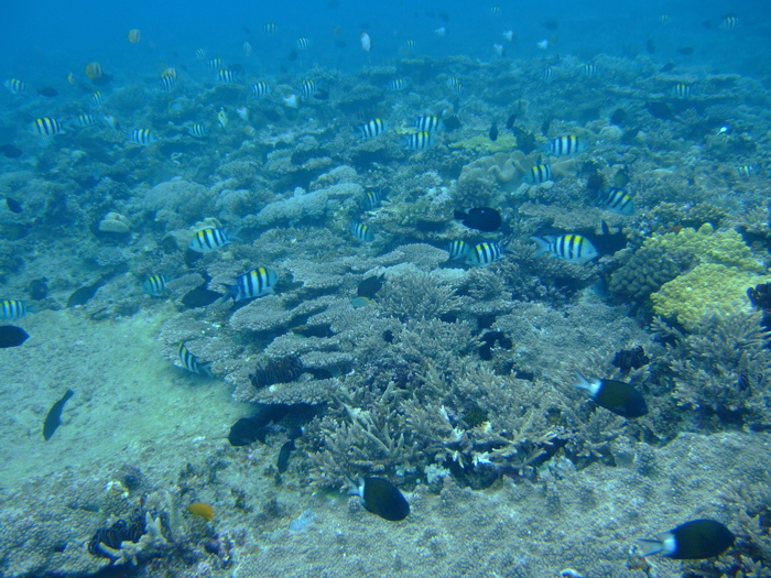 e0162304_17423927.jpg