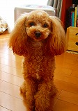 c0148705_2227311.jpg