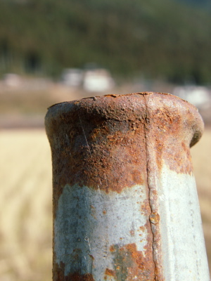 f0135908_239424.jpg