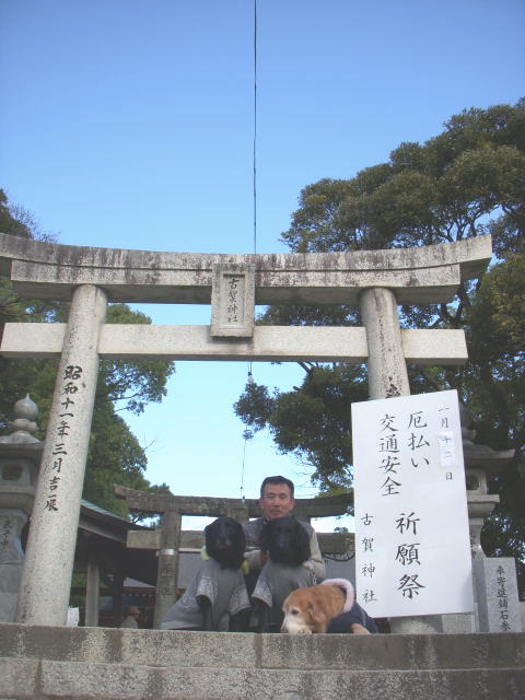 c0017311_11301675.jpg