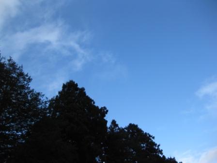 e0113915_10465631.jpg