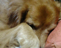 e0140616_1121877.jpg