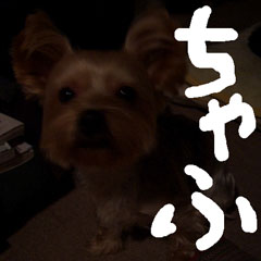 c0036617_17484414.jpg