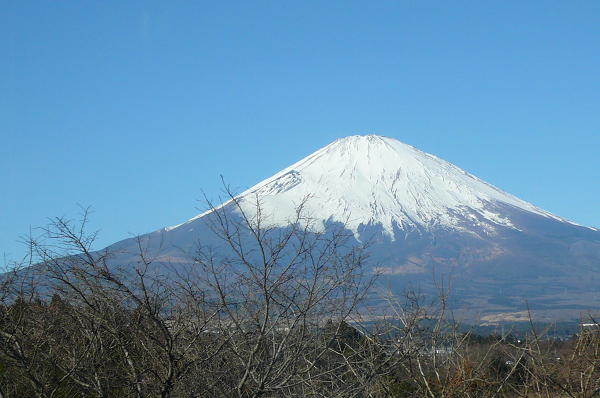 a0107822_2145446.jpg