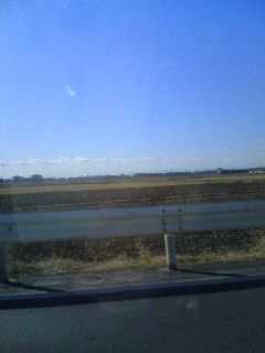 c0124322_1454472.jpg