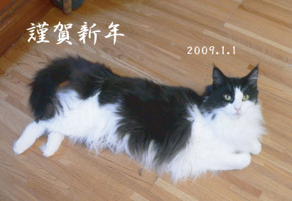 f0106823_12582850.jpg