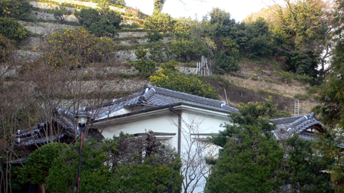 f0060424_17431948.jpg