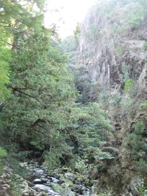 d0147727_19182326.jpg