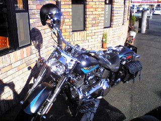 a0099129_1830162.jpg