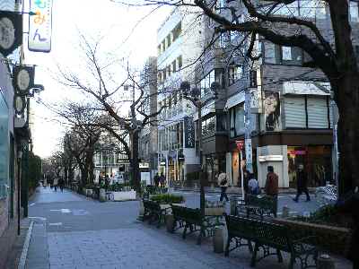 c0133533_20242028.jpg