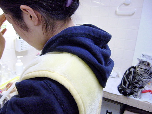 f0175434_23434666.jpg