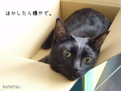 c0132438_22142581.jpg