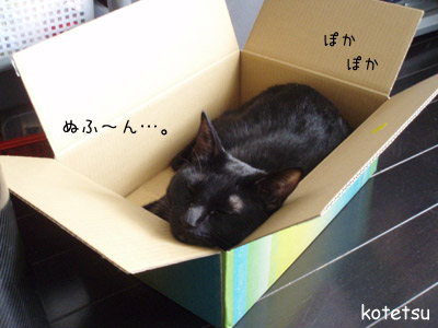 c0132438_227210.jpg