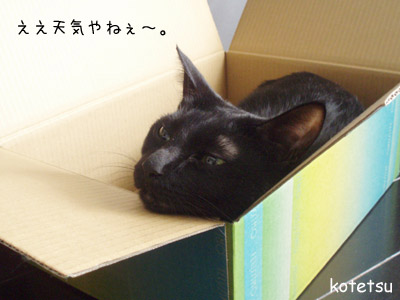 c0132438_227551.jpg