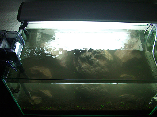e0150140_19335392.jpg
