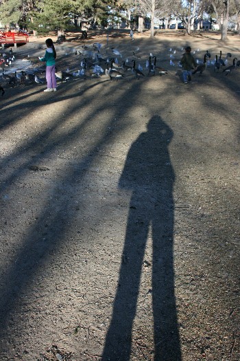 e0104941_314865.jpg