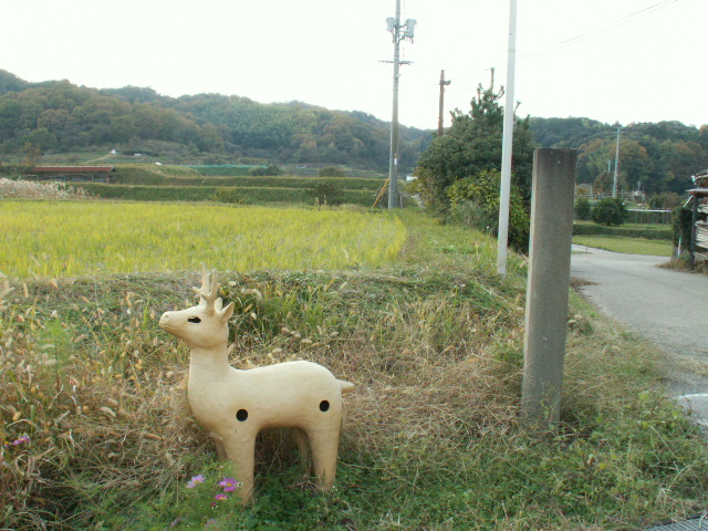 c0190046_21594537.jpg