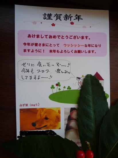c0164353_036732.jpg