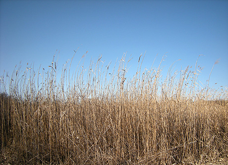 a0001354_20114446.jpg
