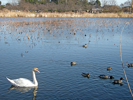 a0001354_2012653.jpg