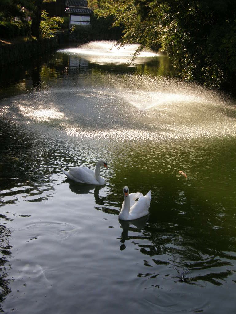 e0064158_1134687.jpg