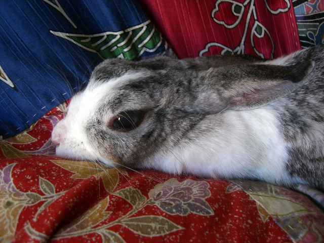 f0176458_20102595.jpg