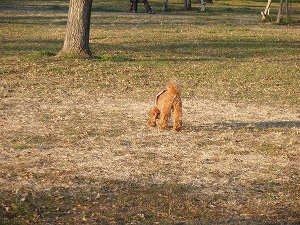 c0135363_18473141.jpg
