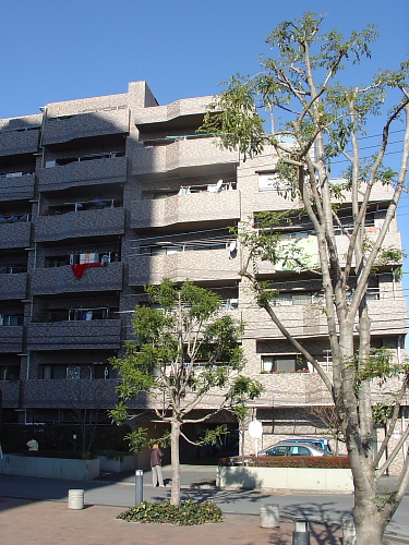 f0166066_1612409.jpg