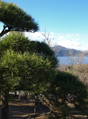 c0102268_032842.jpg
