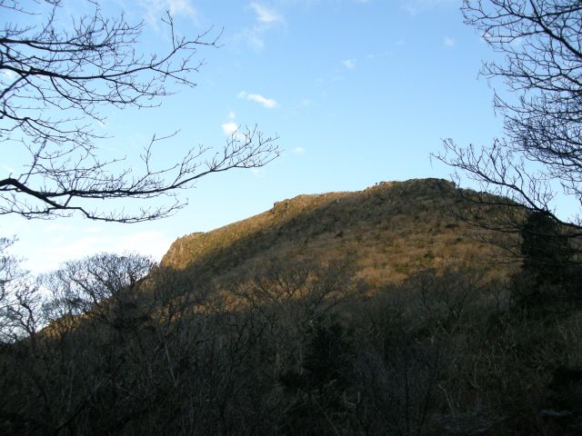 c0042869_12392073.jpg