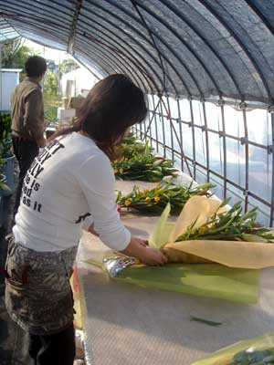 e0097770_1627784.jpg