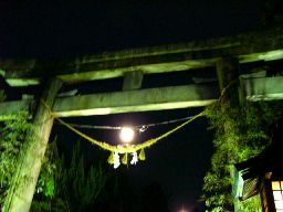 c0072379_8371363.jpg
