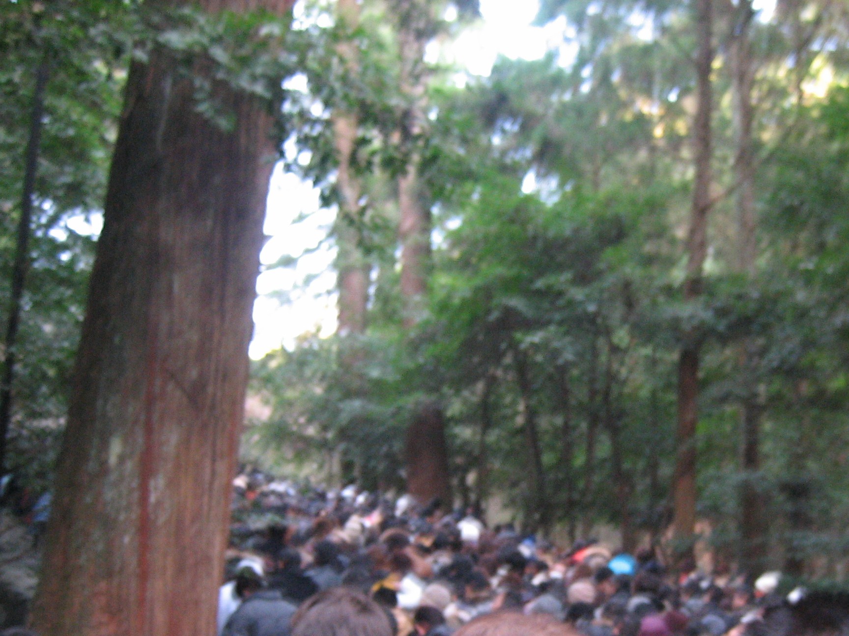 c0093179_203947.jpg
