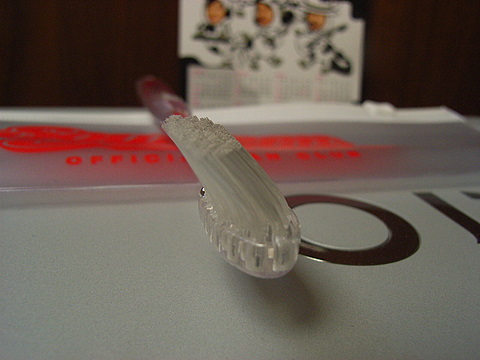 a0043982_18552967.jpg