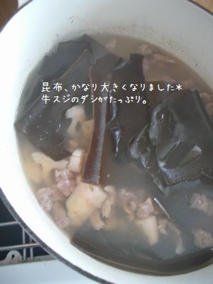 b0000885_88873.jpg