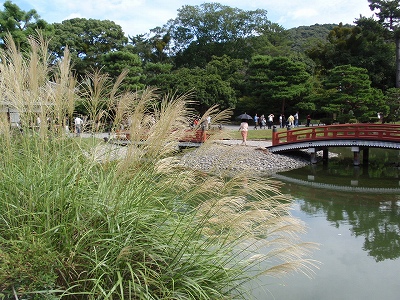 c0105785_21404368.jpg