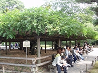c0105785_21441283.jpg