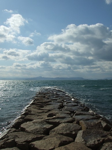 e0030488_142846.jpg